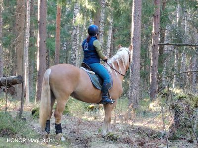 Metsäretkellä